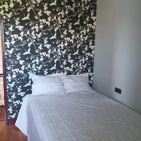 Casa Camino Willa